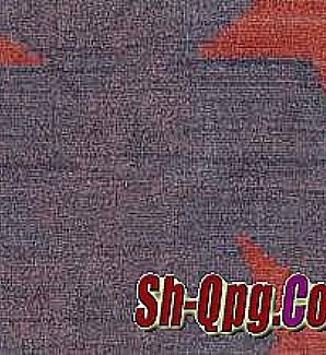 ��䴫����վ,������Ϣ��������ʿ�ٹ�ȥ