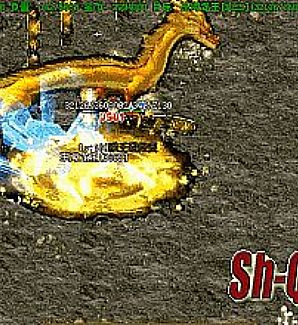 ���Ŵ������ɿ�������սʿ�ջ�֮��