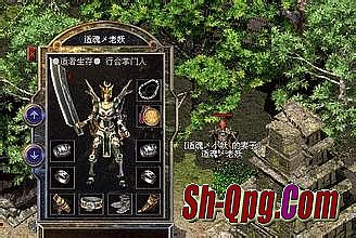 传奇新服网
