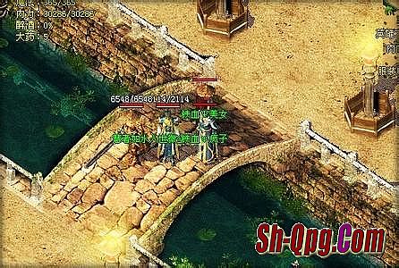 1.76财神金币合击