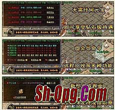 单职业传奇sf网