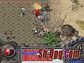 37���ӵĽű�