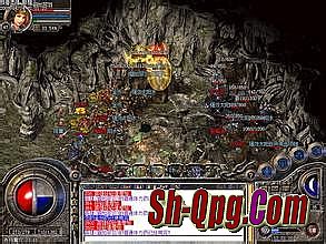 ����ĸ��Ŵ���˽��