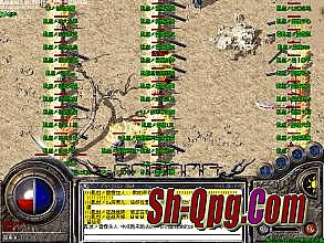 65535��̬����