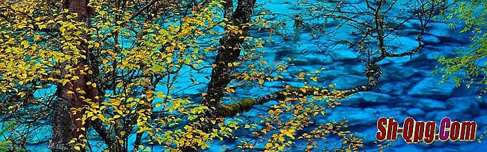 1.76��Ҹ��źϻ�����